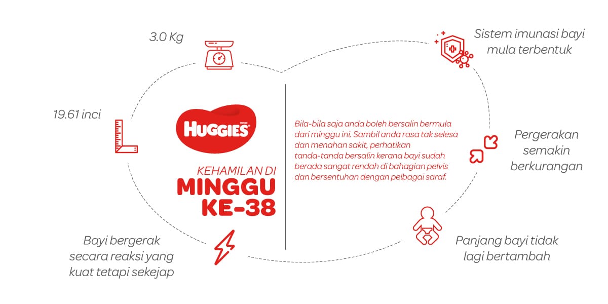 Kehamilan Di Minggu Ke-38 | Huggies Malaysia